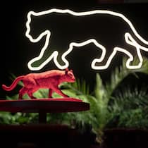 Auf den Spuren des Panters Der Panter-Preis der Taz, Berlin