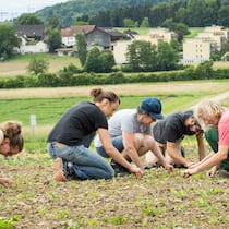 Städter ackern Genossenschafter auf dem Acker