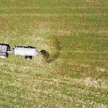 Chli stinke darfs – oder? Gülle wird auf Wiese ausgebracht
