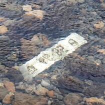 Eine Nummer unter Wasser Autokennzeichen «AG 55» unter Wasser