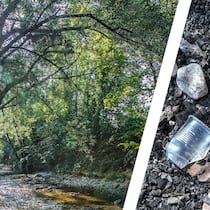 Hier steckt am meisten Mikroplastik drin Bünzaue in Möriken AG