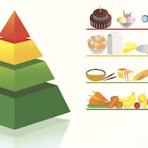 Gewichtskontrolle mit der Lebensmittelpyramide Gewichtskontrolle mit der Lebensmittelpyramide