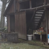 Das Dorf und der Guru Das Dorf und der Guru