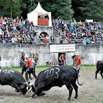 Das Duell der Dickschädel Das Duell der Dickschädel