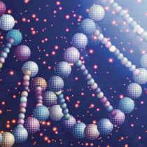Betroffene werden im Stich gelassen DNA