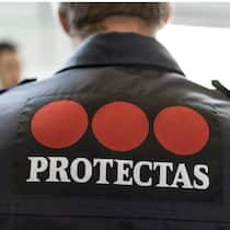 Protectas ist zu neugierig Protectas ist zu neugierig