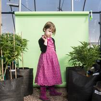 Wundermittel E-Cannabis? Wundermittel E-Cannabis?