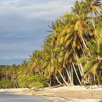 Verwaltungsräte sollen in Haft Verwaltungsräte sollen in Haft
