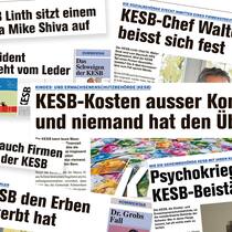 Kesb-Bashing: Es reicht! Kesb-Bashing: Es reicht!