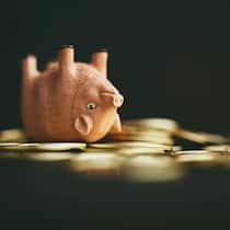 Ein schweinisches Vermächtnis Schwein auf Geld