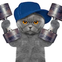 8 Fakten zum Muskelkater Muskelkater