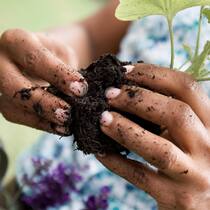 Wo Innovation und Tradition zusammenwachsen Pflanzenerde