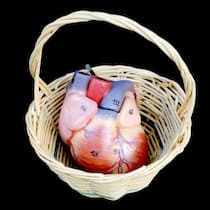 Ich will meine Organe nicht spenden – was kann ich tun? Menschliche Organe