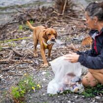 Dieser Hund sagt dem Abfall den Kampf an St. Gallen, Schweiz, 18. August 2022 - Esther Baumgartner Jakober mit Gueselhund Pepe beim Rhein.