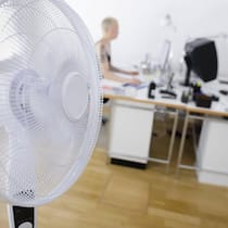 Verschwitzt im Büro – wer muss den Ventilator zahlen? Büro mit zwei Angestellten und einem Ventilator - Was können Angestellte in der Schweiz verlangen, wenn es im Büro zu heiss ist? Der Beobachter zeigt, was der Gesundheitsschutz dazu sagt.