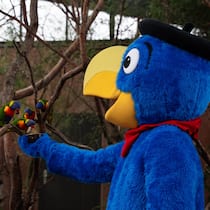 Zoo macht Globi-Werbeaktion – Kinder müssen zahlen Mensch in Globi-Kostüm füttert Papageien - Der Zoo Zürich veranstaltet zum Erscheinen des neuen Globi-Buches einen Werbeevent. Dafür werden Eltern zur Kasse gebeten