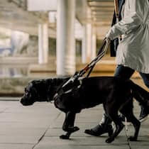 Blinde sind in diesem Schweizer Hotel unerwünscht Ein Blindenführhund - Ein Hotel in Sargans verweigert einem blinden Gast, der auf einen Assistenzhund angewiesen ist, den Aufenthalt. Das verstösst gegen das Diskriminierungsverbot im Gleichstellungsgesetz