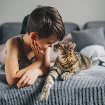Tiere unter dem Christbaum? Ja, aber ... Little kid boy with his cat pet on the couch. Children and love pets concept. Friendship with aimals
