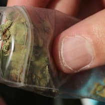 Besitz straffrei, Konsum strafbar – macht das Sinn? Cannabis