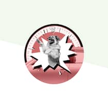 So retten Sie einen Hund vor dem Hitzetod Ein Hund leidet im überhitzten Wagen, vom Halter fehlt jede Spur. Wer die Scheibe einschlägt, riskiert eine Anzeige wegen Sachbeschädigung. Und der Hundehalter womöglich eine wegen Verstoss gegen den Tierschutz.