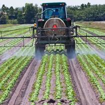 Versteckspiel um relevante Fakten Traktor versprüht Pestizide