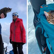 Ein Urner Büsi will unbedingt nach ganz oben Bergführer Stefan Rothenfluh, sein Gast – und das «Berg»-Büsi.