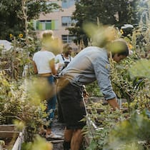 Was für ein Nachbarschaftstyp sind Sie? Testen Sie es hier! Gemeinschaftsgarten - Viele in der Schweiz fühlen sich mit der Nachbarschaft wenig verbunden, sagt eine Studie. Dabei mangelt es nicht an Gelegenheiten, sich im Quartier zu verwurzeln. Eine Übersicht – mit Persönlichkeitstest
