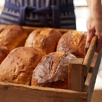 Warum ein Laib Brot in Zürich bis zu 16 Franken kostet Sales Assistant In Bakery With Tray Of Freshly Baked Organic Sourdough Bread Loaves