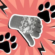 Vier Pfoten verärgert Spenderinnen mit Gratis-Handschuhen AKTUA_Handschuhe Illustration zu Tierschutz verärgert Spender mit Gratis-Handschuhen
©Freepik, zvg; Gemini (KI-generiert) – Illustration: Berit Bisig