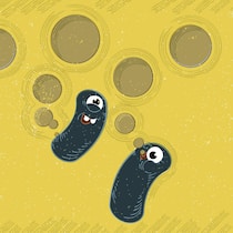 Rettet die Löcher im Emmentaler! Dank seinen charakteristischen Löchern ist der Emmentaler der Inbegriff des «Swiss Cheese». Doch es wurden immer weniger. Forscher von Agroscope haben die Lösung: Heublumen.