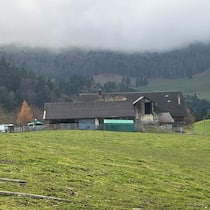 Tierschützer fordern schnelle und transparente Informationen Der Solothurner Veterinärdienst hat einen Hof in Ramiswil SO geräumt und über 100 kranke und unterernährte Hunde eingeschläfert. Die Tierhalterin wird wegen Verstosses gegen das Tierschutzgesetz angezeigt.