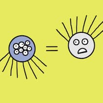 Papi, rette uns vor dem Monster! Beobachter 07/2026
Illustration Schlusspunkt Spinne
Illustration: Rina Jost