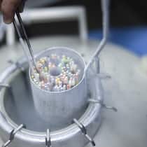 Meine Eizelle gehört mir? Nicht unbedingt Ein Embryologe platziert Roehrchen mit gefrorenen Eizellen bei der Vitrifizierung von Eizellen in einem Lagerungstank fuer Kryokonservierung, gefuellt mit fluessigem Stickstoff, im IVF Labor der OVA IVF Klinik, am Dienstag, 21. November 2023 in Zueri…