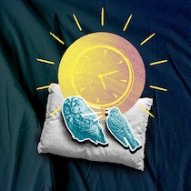 Mit diesen Tricks stärken Sie Ihre innere Uhr Collage mit Eule, Lerche und Uhr - Schlechter Schlaf ist weit verbreitet. Dabei wird ein Faktor oft unterschätzt: unsere innere Uhr. Vier Strategien können helfen, sie wieder ins Gleichgewicht zu bringen