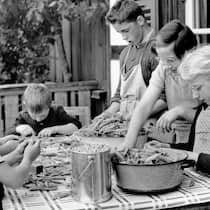 Die Kinder von einst «Versorgten» leiden bis heute Fürsorgerisch fremdplatzierte Mädchen und Buben in einer Berner Armenerziehungsanstalt