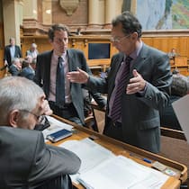 Diese Auswirkungen hatten die letzten IV-Revisionen SVP-Vertreter und der damalige FDP-Präsident Philipp Mueller während den Beratungen über die 6. IV Revision im Juni 2013 im Nationalrat