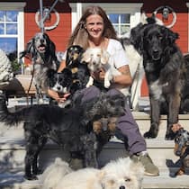 «Ich kann die Kosten für den Tierarzt kaum noch tragen» Florence Wibring mit Hunden vor ihrem Haus - Internationale Tierarztketten übernehmen zunehmend auch Schweizer Praxen. Welche Folgen das haben kann, erlebt eine Solothurner Auswanderin in Schweden
