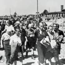 Jetzt kommt die Datenbank für die Verfolgten des Nationalsozialismus 1944: Frauen werden ins Konzentrationslager Auschwitz verschleppt.