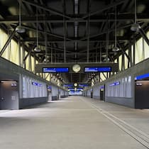 Auf Gleis 8 hats viel Platz für Grünzeug Passerelle am Bahnhof SBB Basel - In Basel wurde für 60 Millionen Franken ein leeres Stück Bahnhof gebaut. Zeit für neue Ideen