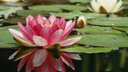Sonnenbad am eigenen Pool