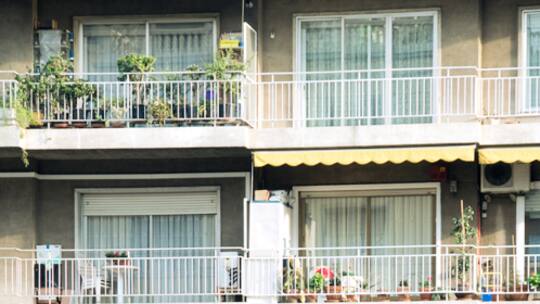 Mein oder nicht mein