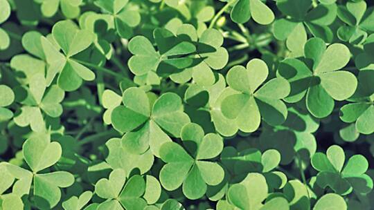 Was macht glücklich?