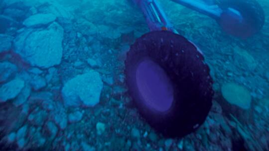 «Die Forelle mag mich nicht»