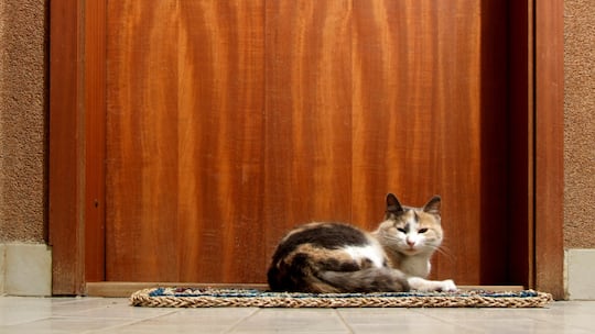 Untermieter als Goldesel?