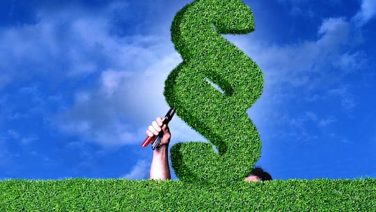 Hätten Sies gewusst?