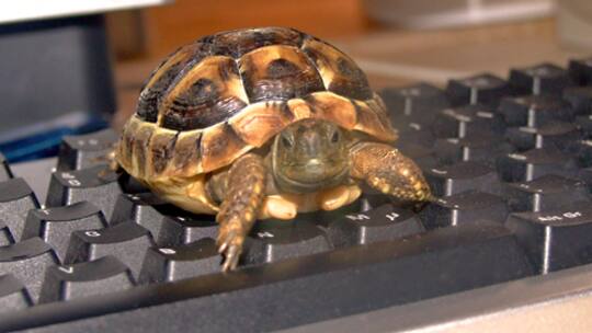 Unseriöse Angebote im Internet