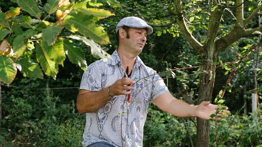 Daniel Lis ist fasziniert vom Biosystem Waldgarten. Hier wachsen unter anderem Kürbisse, Rotkohl, Vogelbeeren, Straussenfarn und Mispeln.