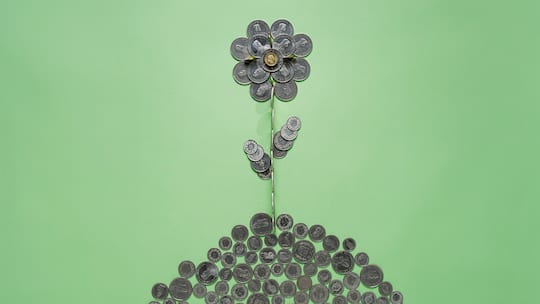 Viele wollen ihr Geld umweltverträglich investieren. Das Angebot ist gross, aber nicht immer sauber. Eine Beobachter-Auswahlhilfe. Blume aus Schweizer Geldmünzen
