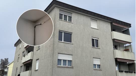 In dieser Wohnung der Stiftung Züriwerk schimmelt es