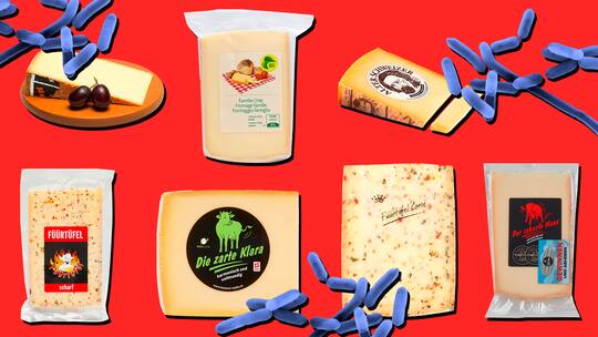 Das Bild zeigt verschiedene Käsesorten neben stilisierten Bakterien.